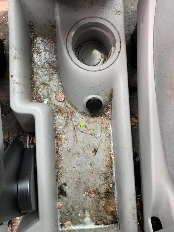 Before the interior detail