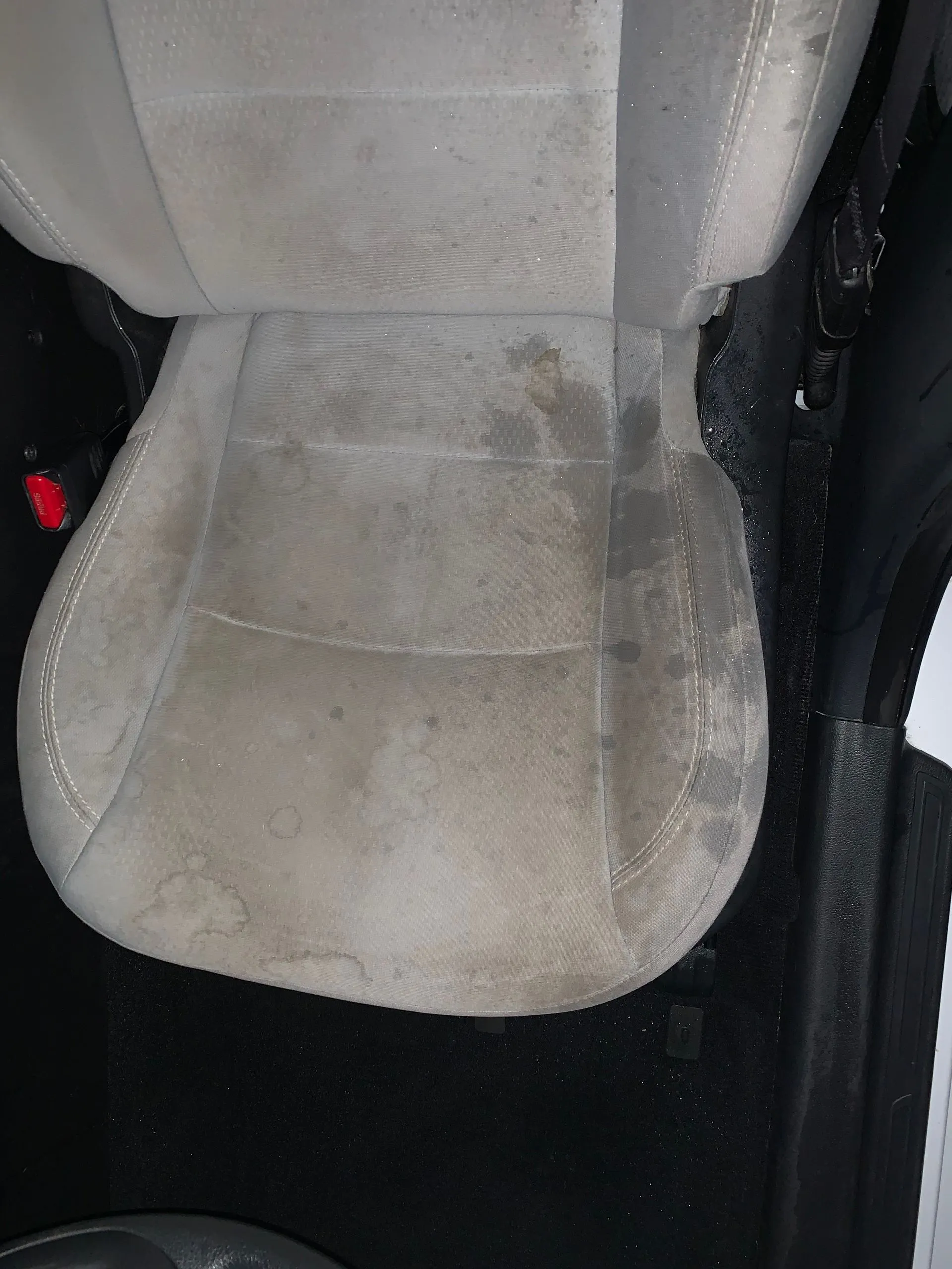 Before the interior detail